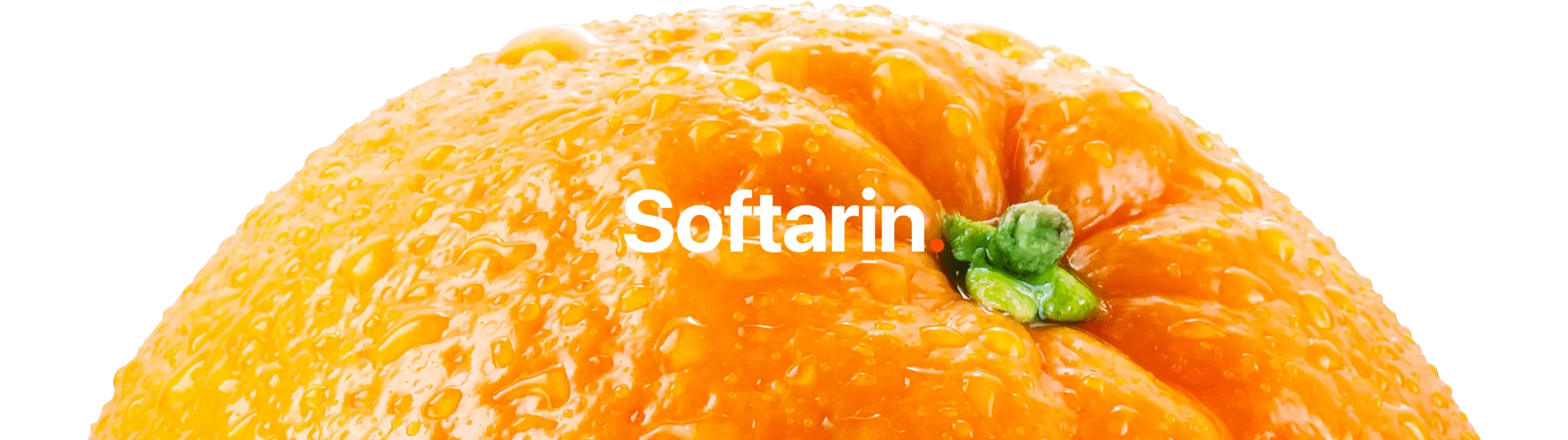 Softarin Footer